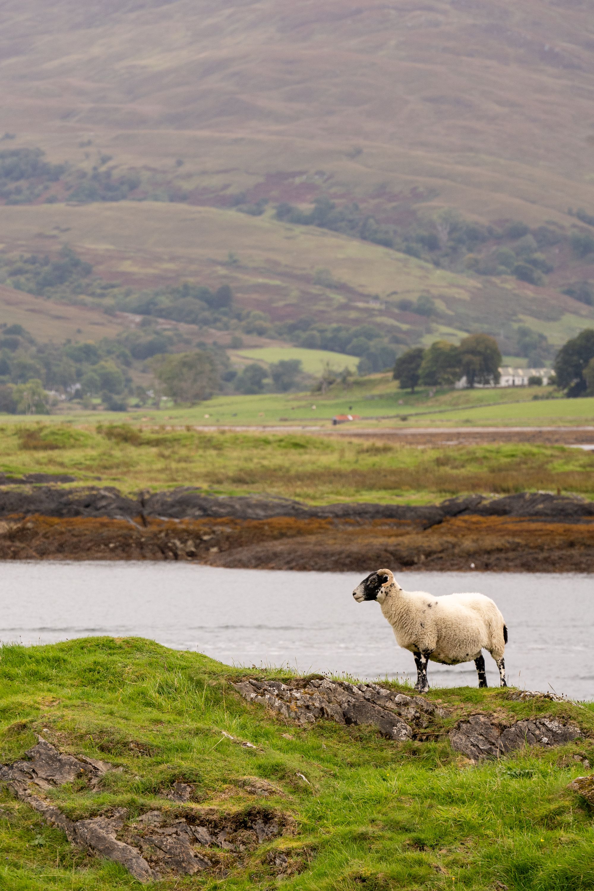 Scotland: Holidays in Highlands