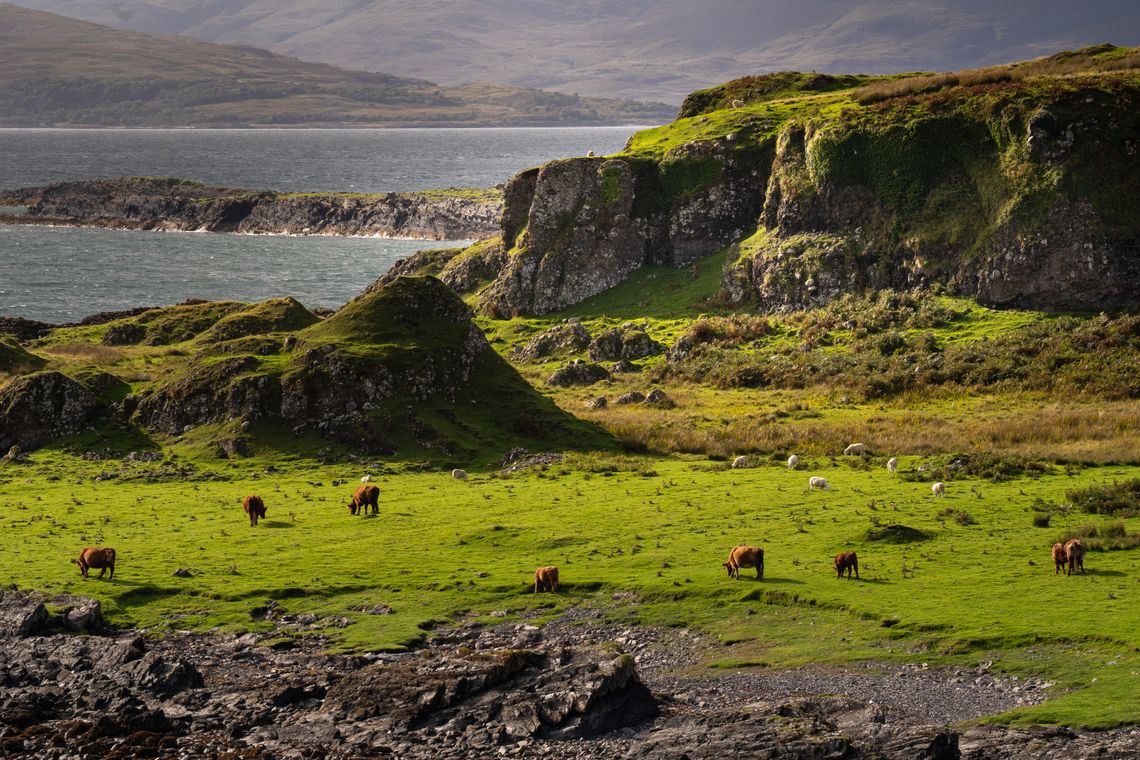 Scotland: Holidays in Highlands